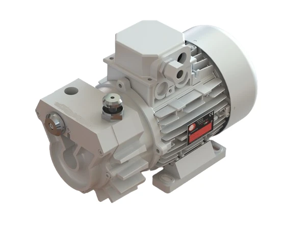 GS 6 Kuru (Yağsız) Vakum Pompası